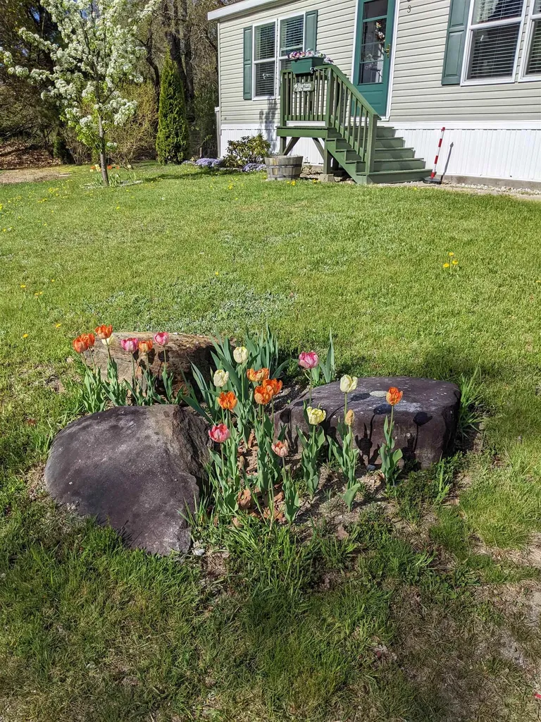 7 Lilac Lane Pittsfield NH 03263