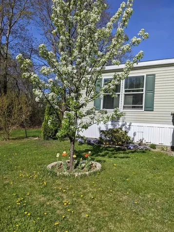 7 Lilac Lane Pittsfield NH 03263