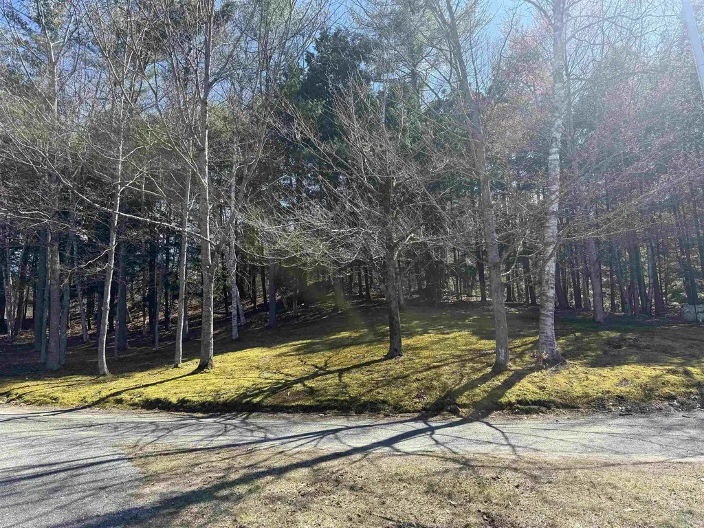 175 Pleasant Valley Road Springfield VT 05156