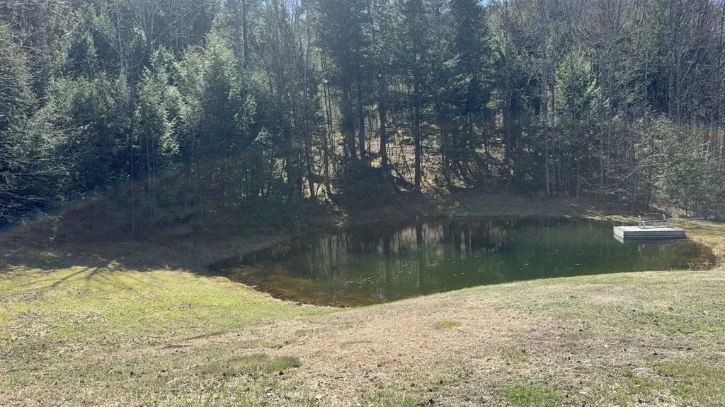175 Pleasant Valley Road Springfield VT 05156
