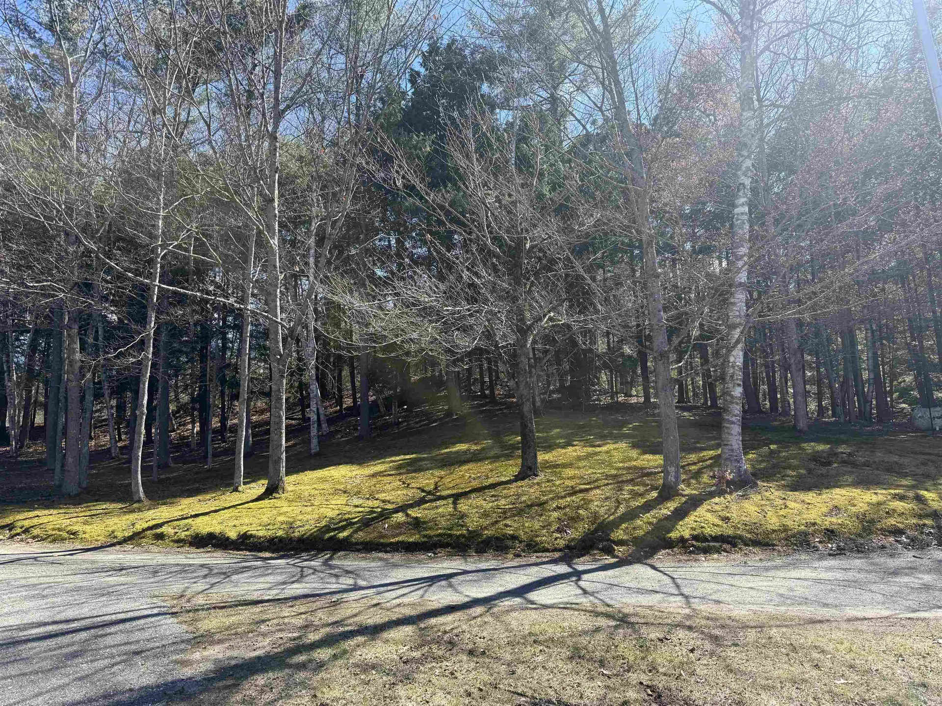 175 Pleasant Valley Road Springfield VT 05156