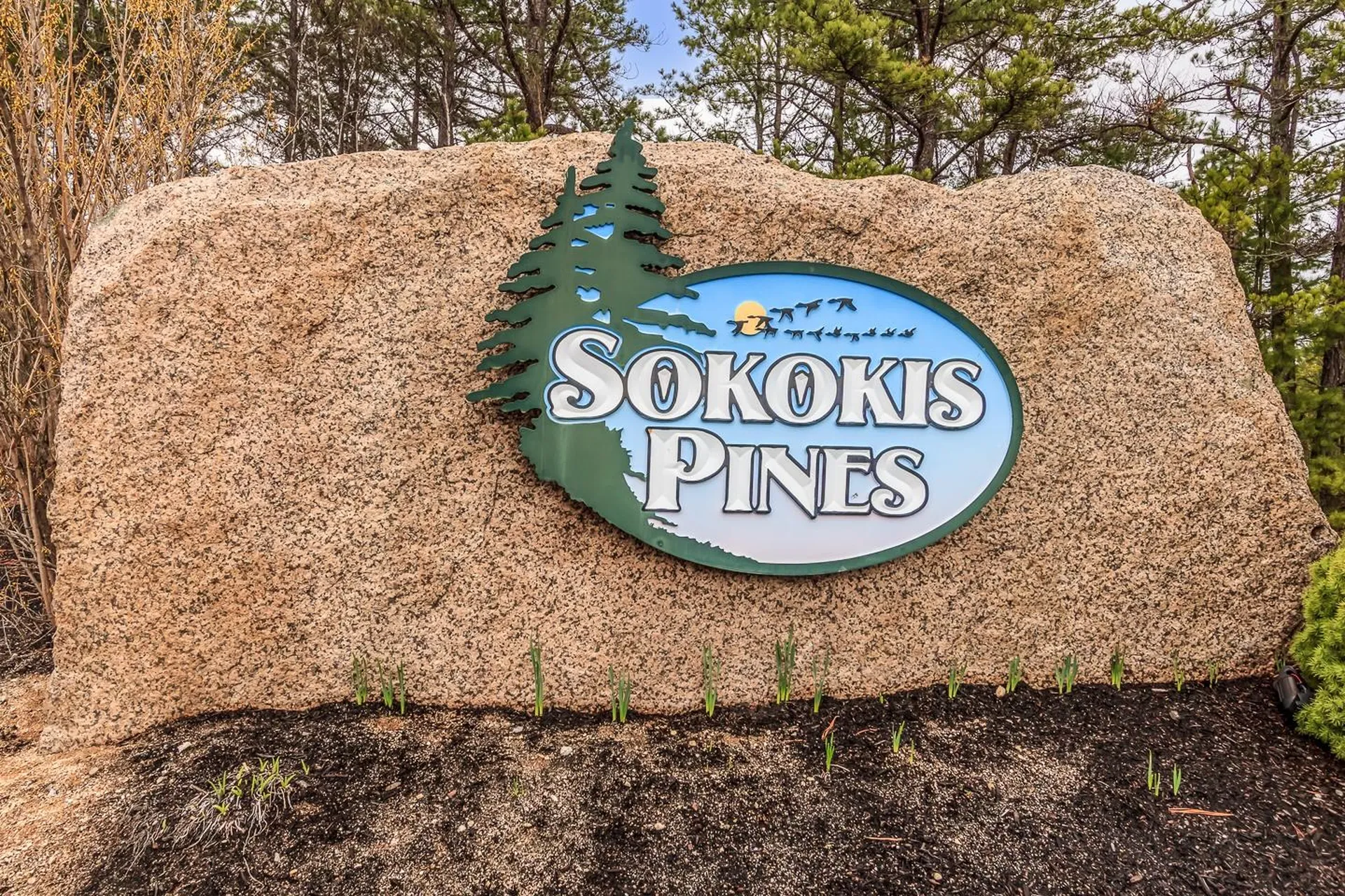 439 Silver Pine Lane Tamworth NH 03886