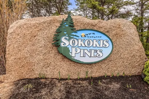 439 Silver Pine Lane Tamworth NH 03886