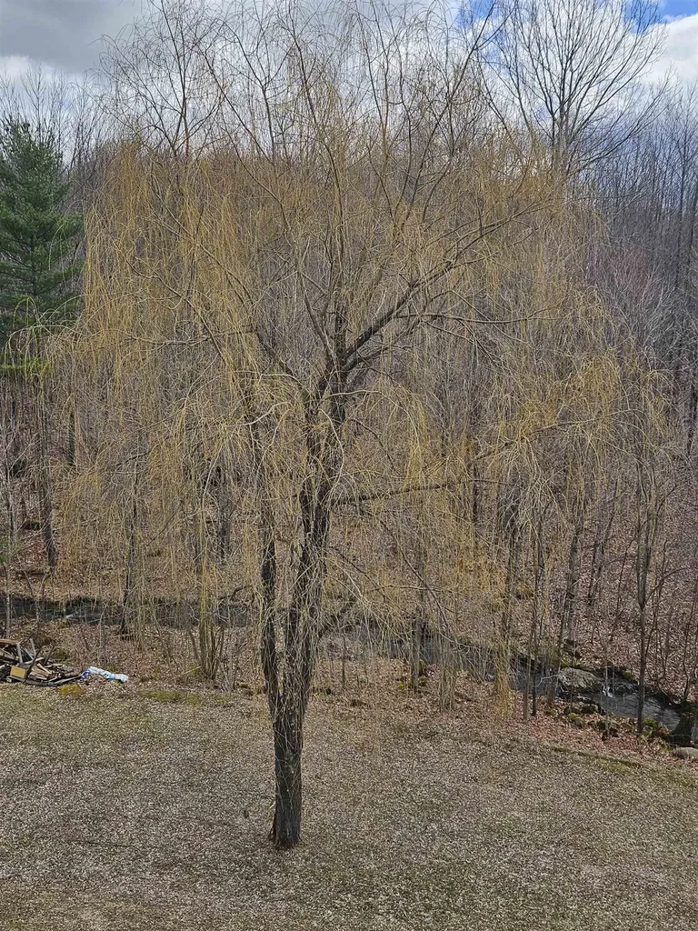 5 Ted Road Milton VT 05468-3985