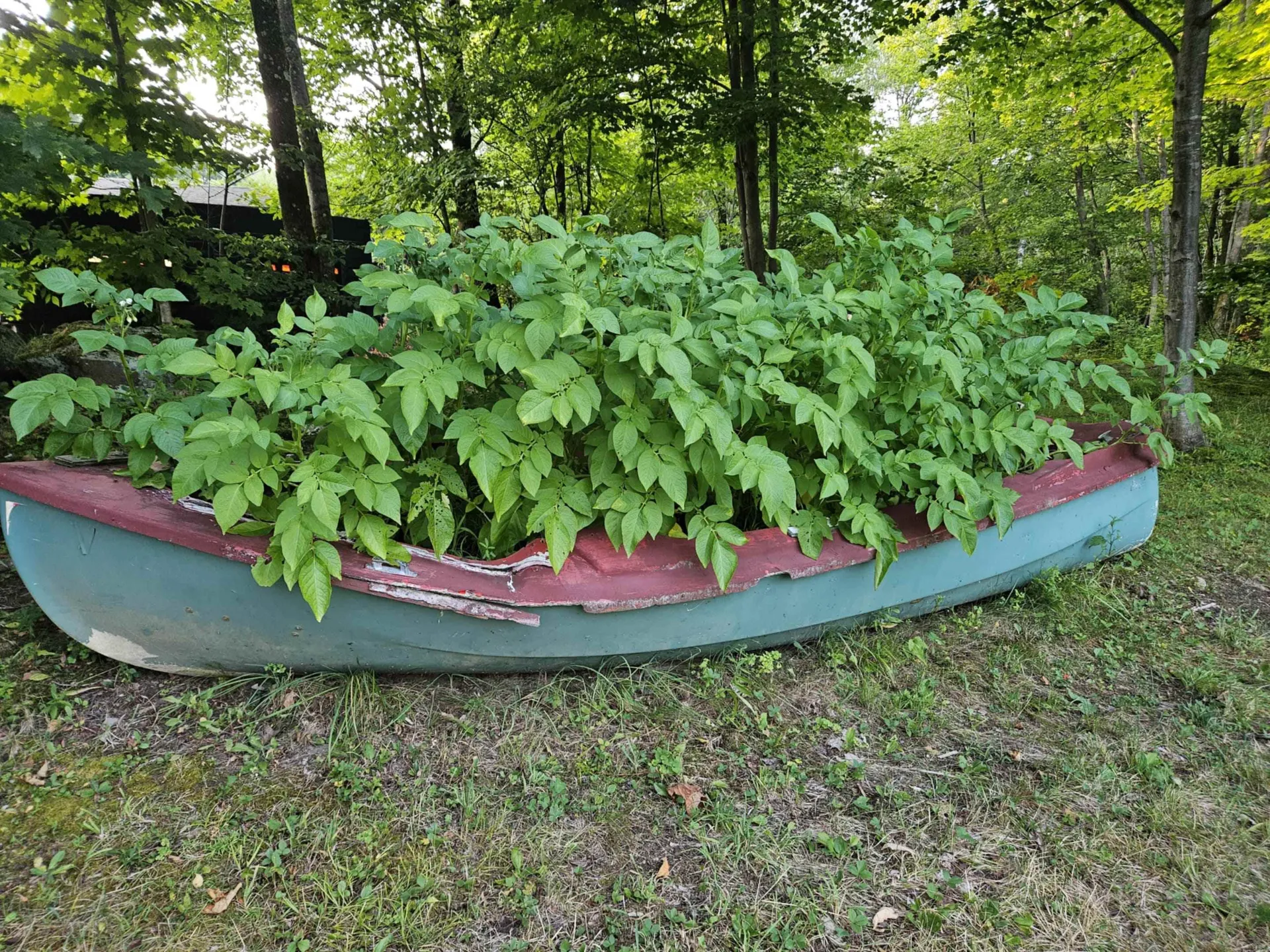 5 Ted Road Milton VT 05468-3985