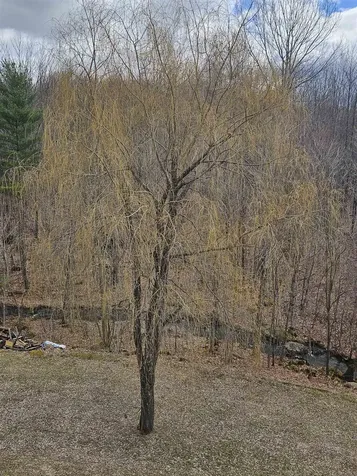 5 Ted Road Milton VT 05468-3985
