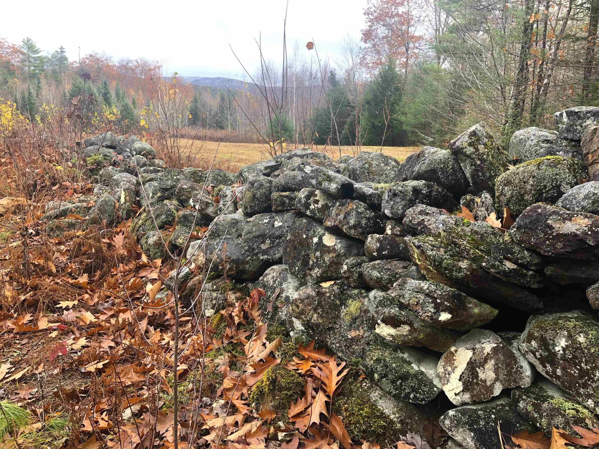 Page Road Campton NH 03223