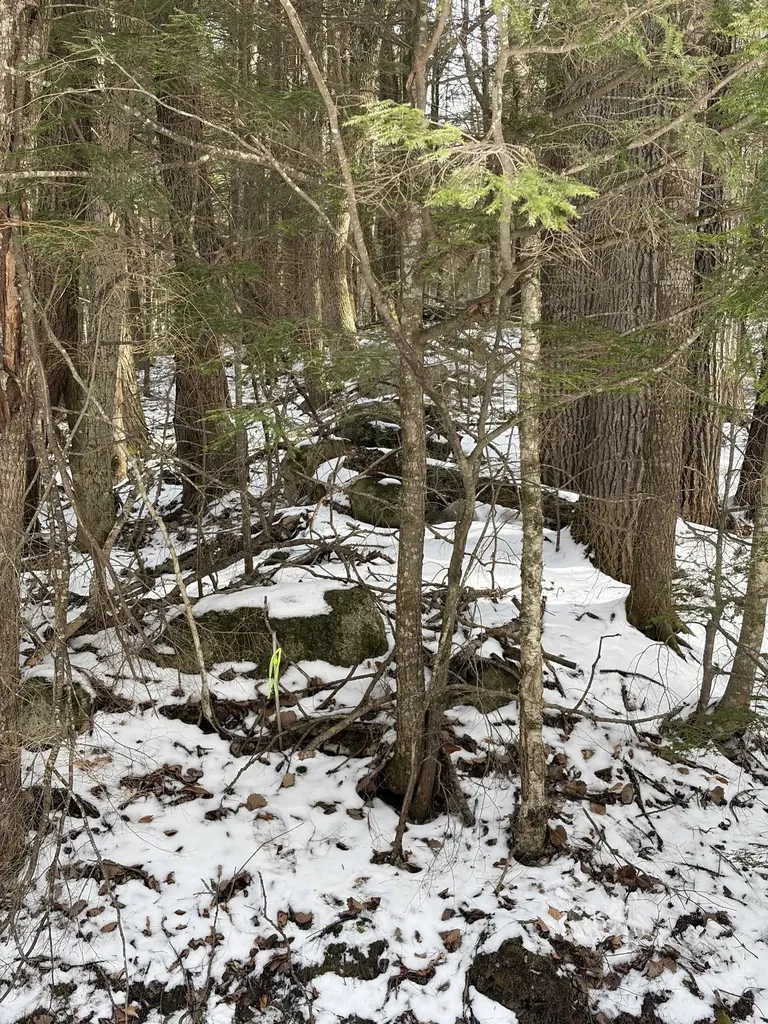 00 Hodgdon Road Alexandria NH 03222