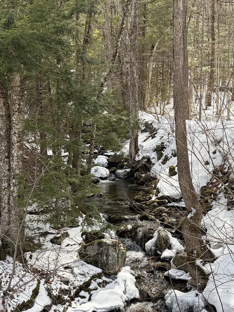 00 Hodgdon Road Alexandria NH 03222