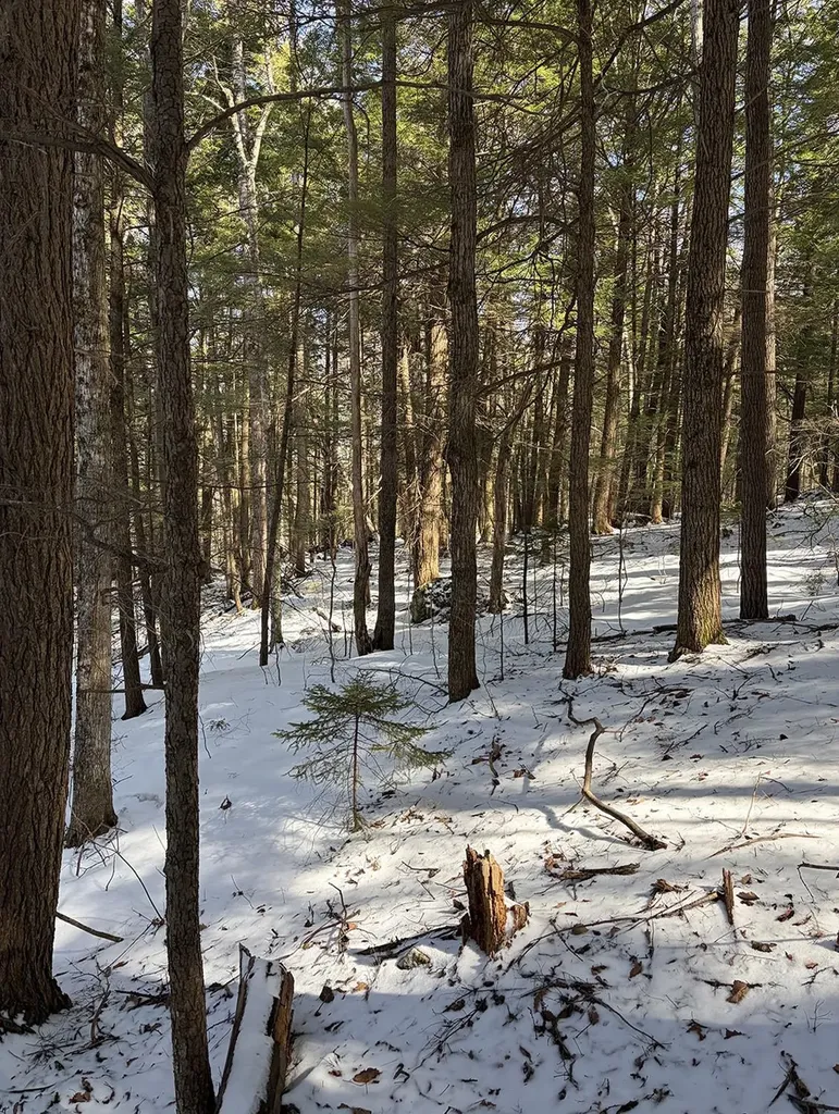 00 Hodgdon Road Alexandria NH 03222