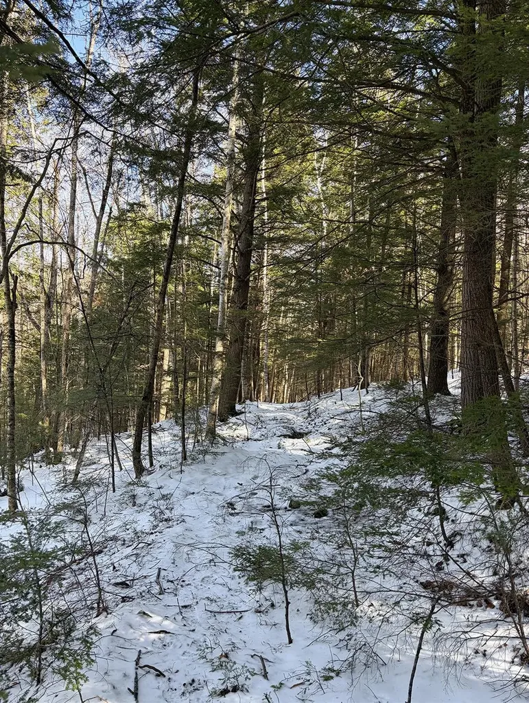 00 Hodgdon Road Alexandria NH 03222