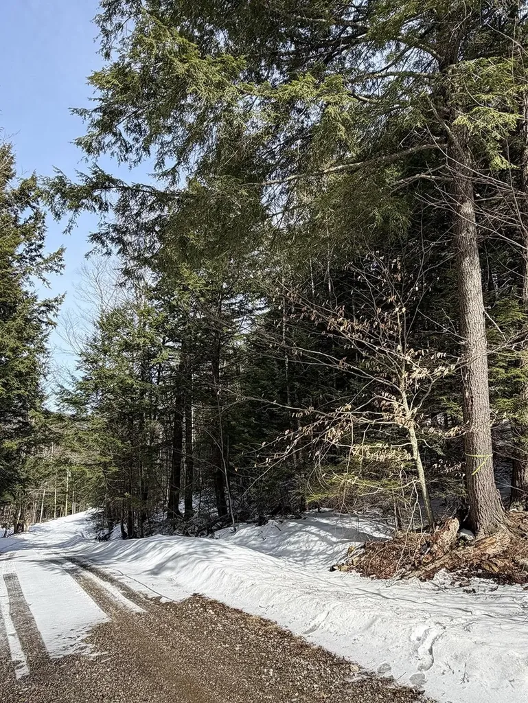 00 Hodgdon Road Alexandria NH 03222