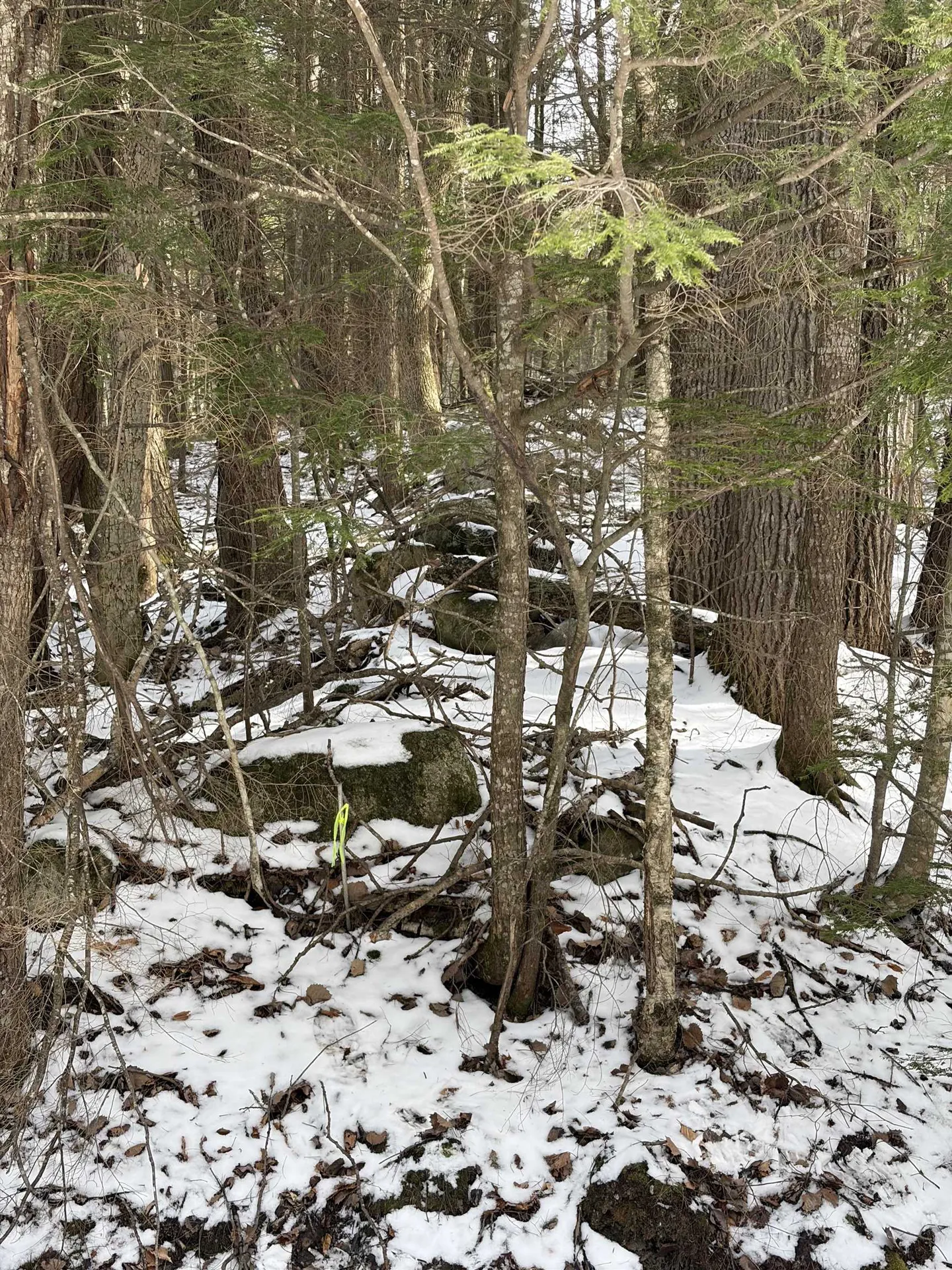 00 Hodgdon Road Alexandria NH 03222