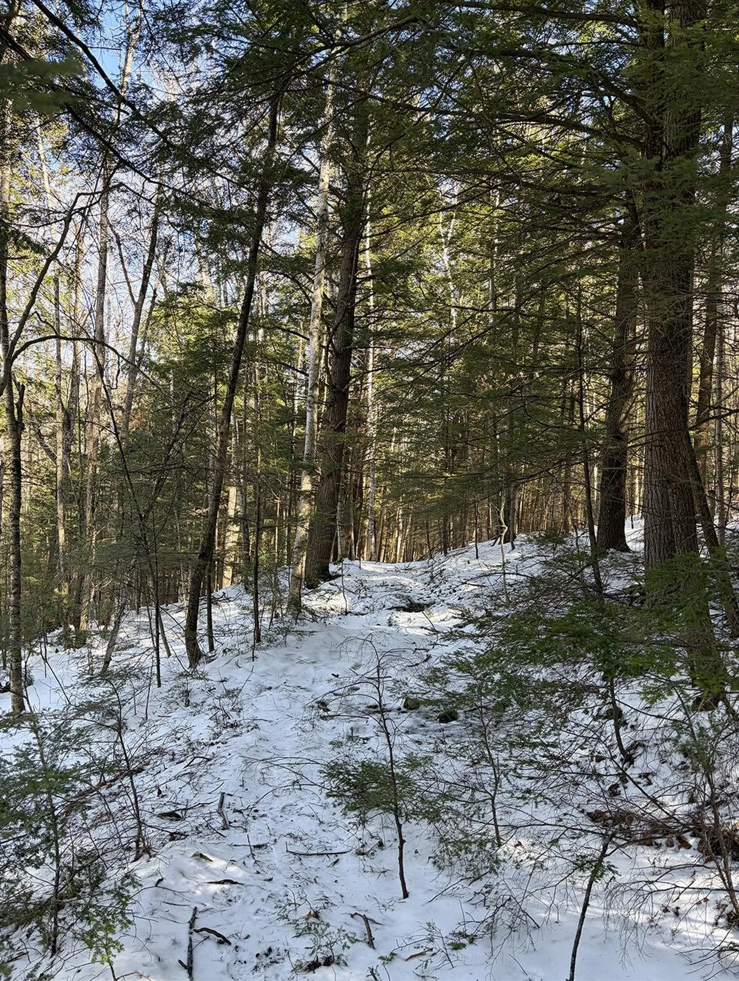 00 Hodgdon Road Alexandria NH 03222