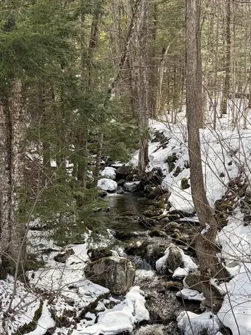 00 Hodgdon Road Alexandria NH 03222