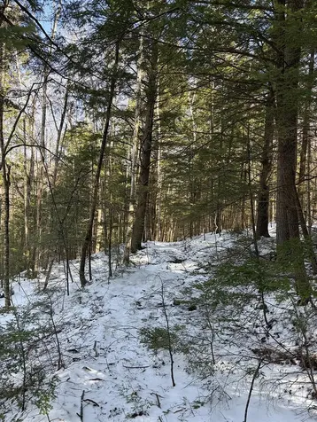 00 Hodgdon Road Alexandria NH 03222