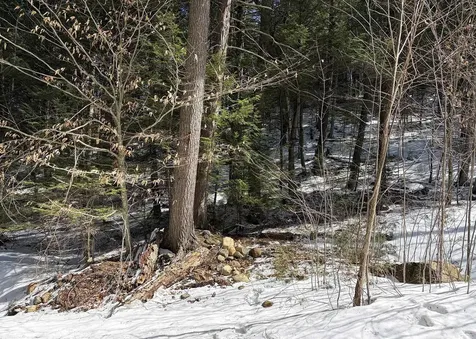 00 Hodgdon Road Alexandria NH 03222