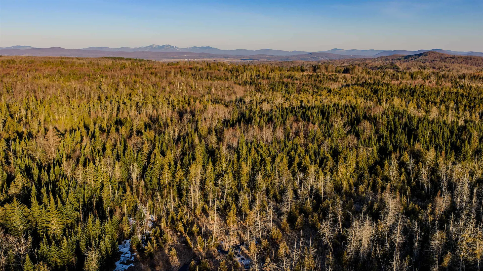 2840 Dane Hill Road Charleston VT 05872