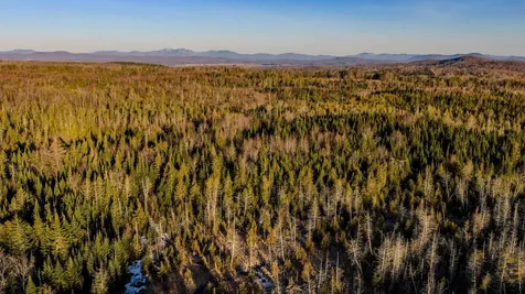 2840 Dane Hill Road Charleston VT 05872