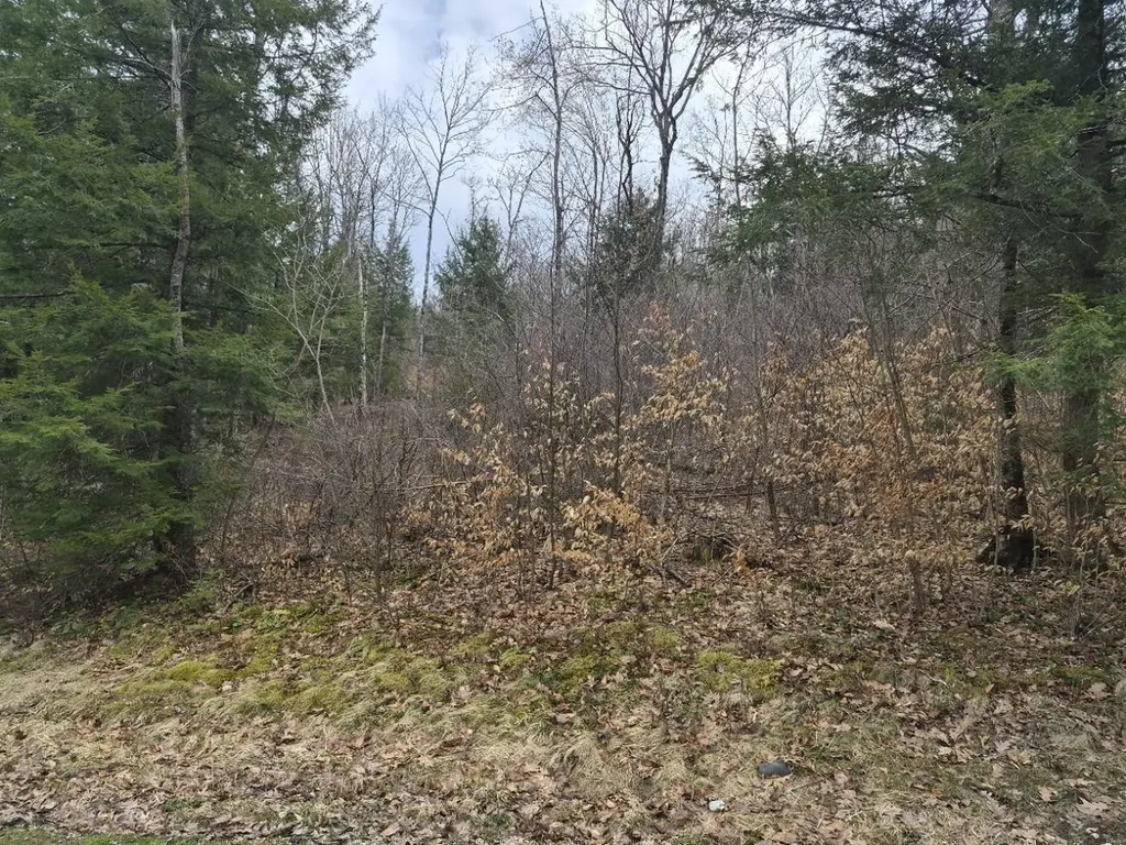 Pond Road Rockingham VT 05346