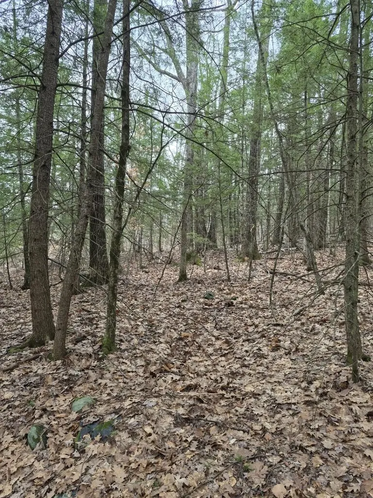 Pond Road Rockingham VT 05346