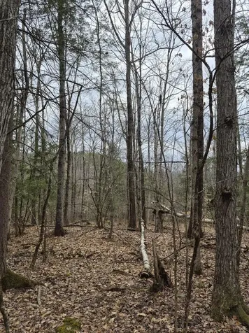 Pond Road Rockingham VT 05346