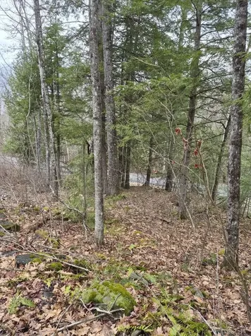 Pond Road Rockingham VT 05346