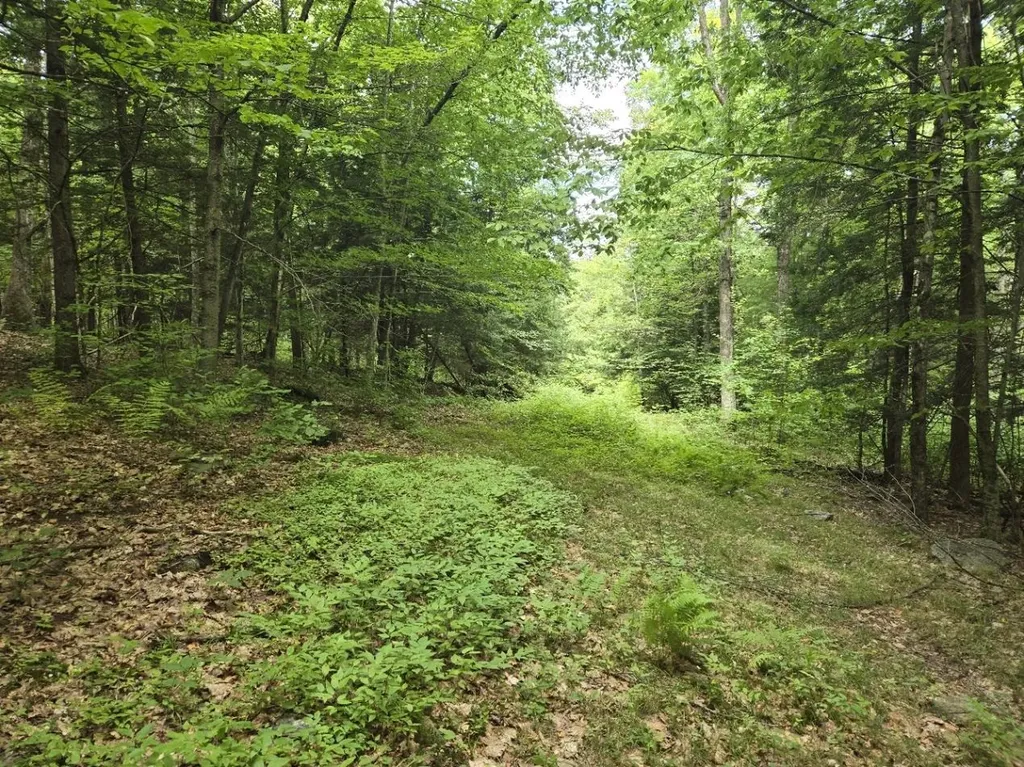 Crotty Drive Rockingham VT 05101