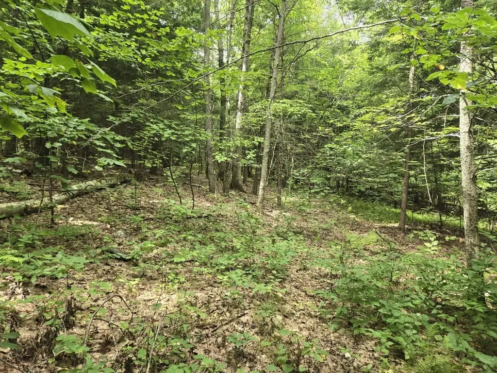 Crotty Drive Rockingham VT 05101