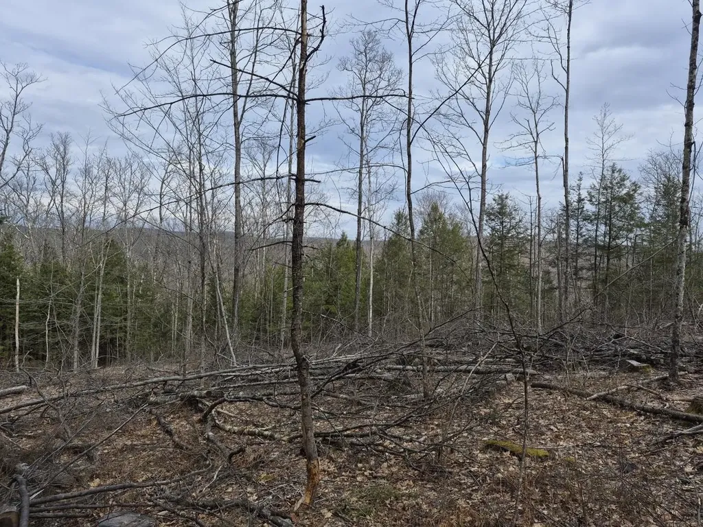 Crotty Drive Rockingham VT 05101