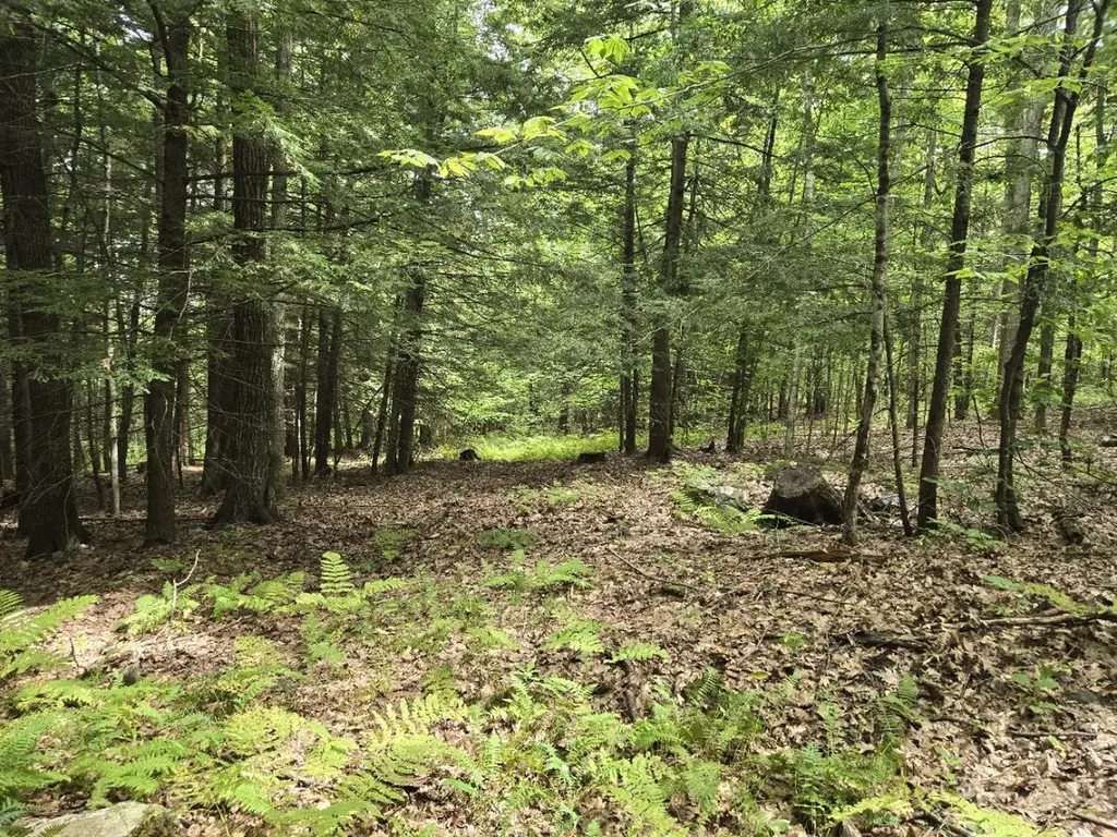 Crotty Drive Rockingham VT 05101