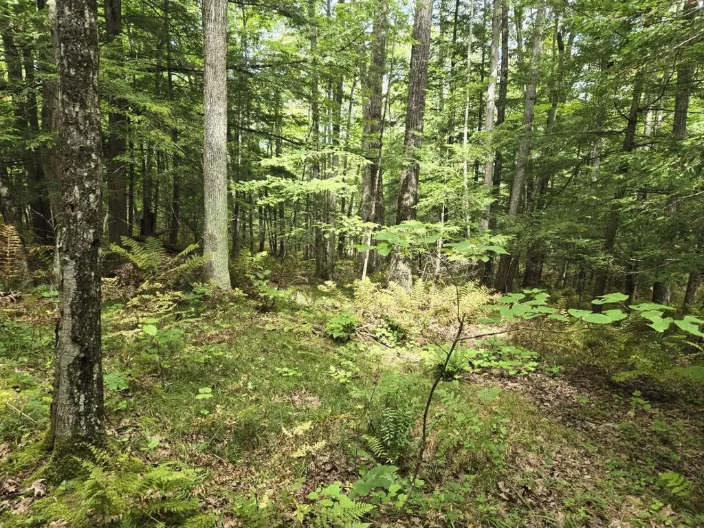 Crotty Drive Rockingham VT 05101