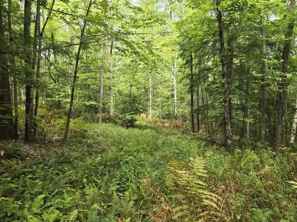 Crotty Drive Rockingham VT 05101