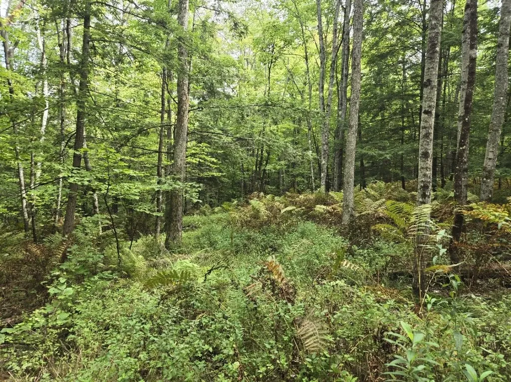 Crotty Drive Rockingham VT 05101
