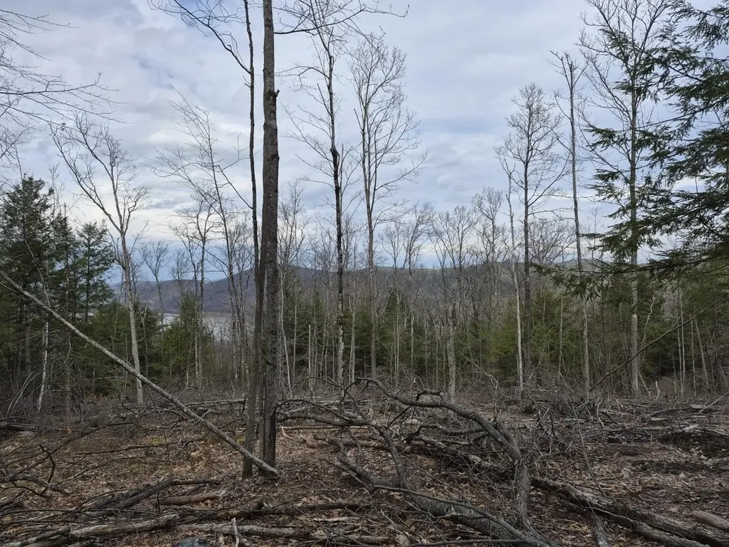 Crotty Drive Rockingham VT 05101
