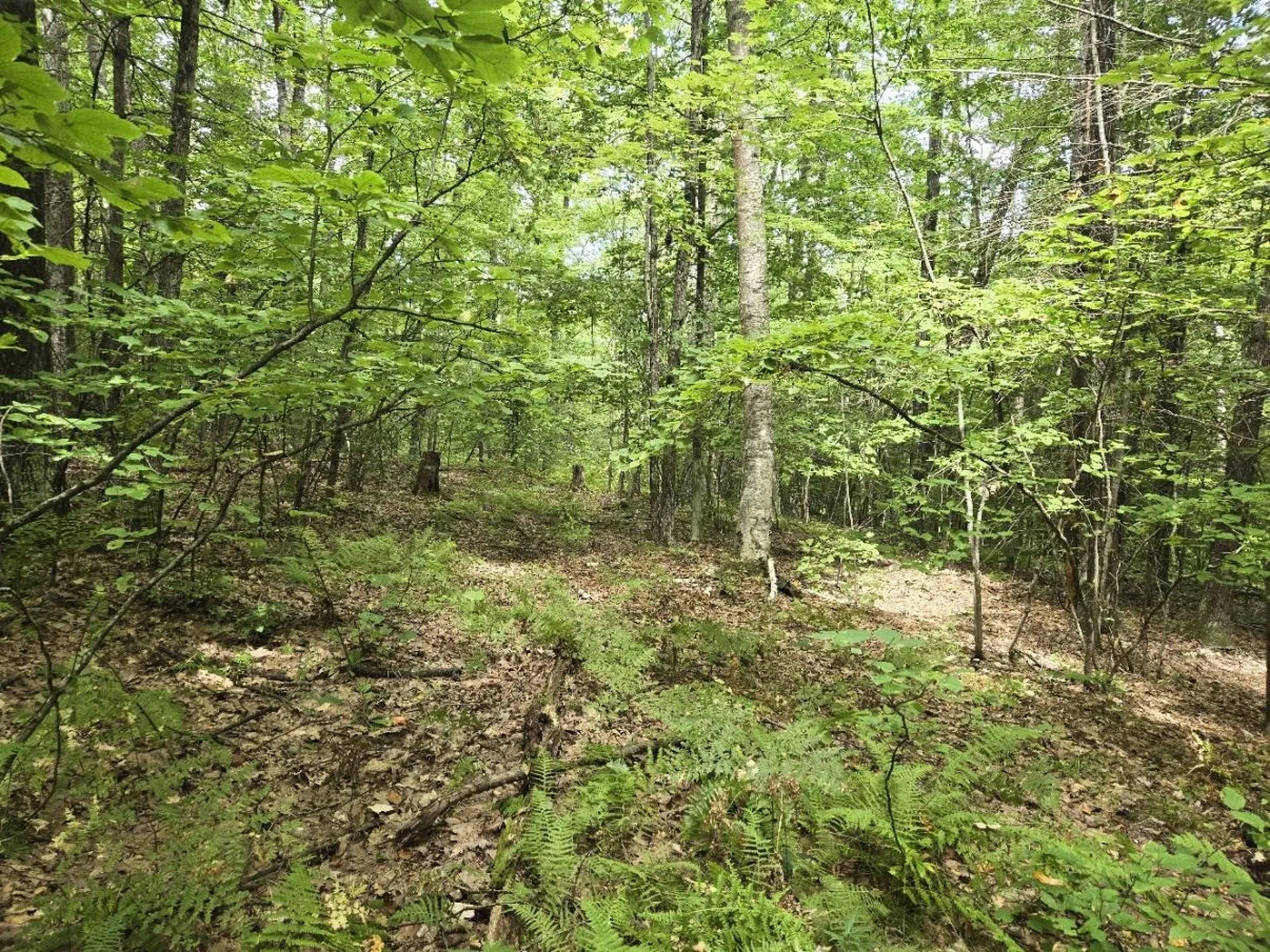 Crotty Drive Rockingham VT 05101
