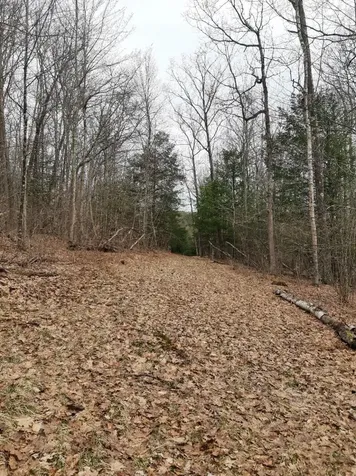 Crotty Drive Rockingham VT 05101