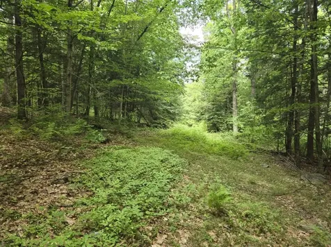 Crotty Drive Rockingham VT 05101