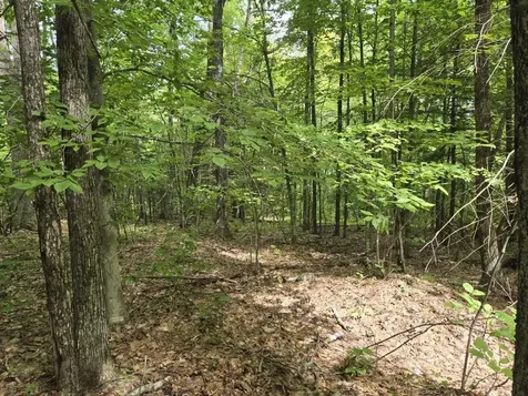 Crotty Drive Rockingham VT 05101