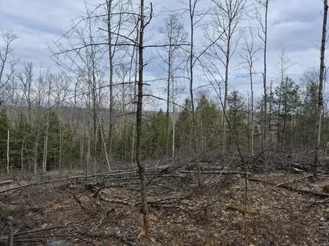 Crotty Drive Rockingham VT 05101