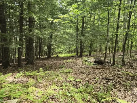 Crotty Drive Rockingham VT 05101