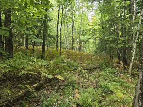 Crotty Drive Rockingham VT 05101