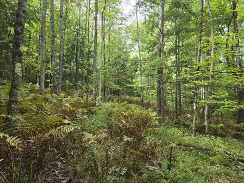Crotty Drive Rockingham VT 05101