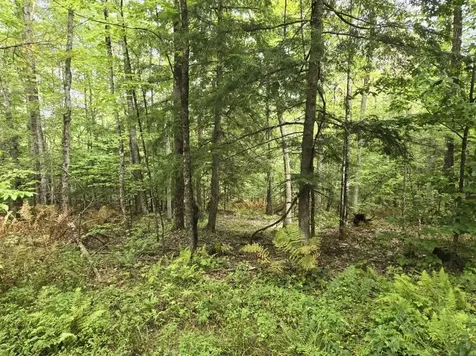 Crotty Drive Rockingham VT 05101
