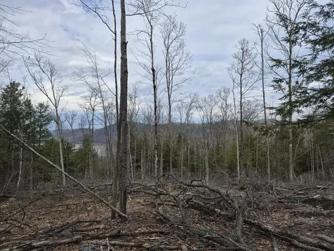 Crotty Drive Rockingham VT 05101