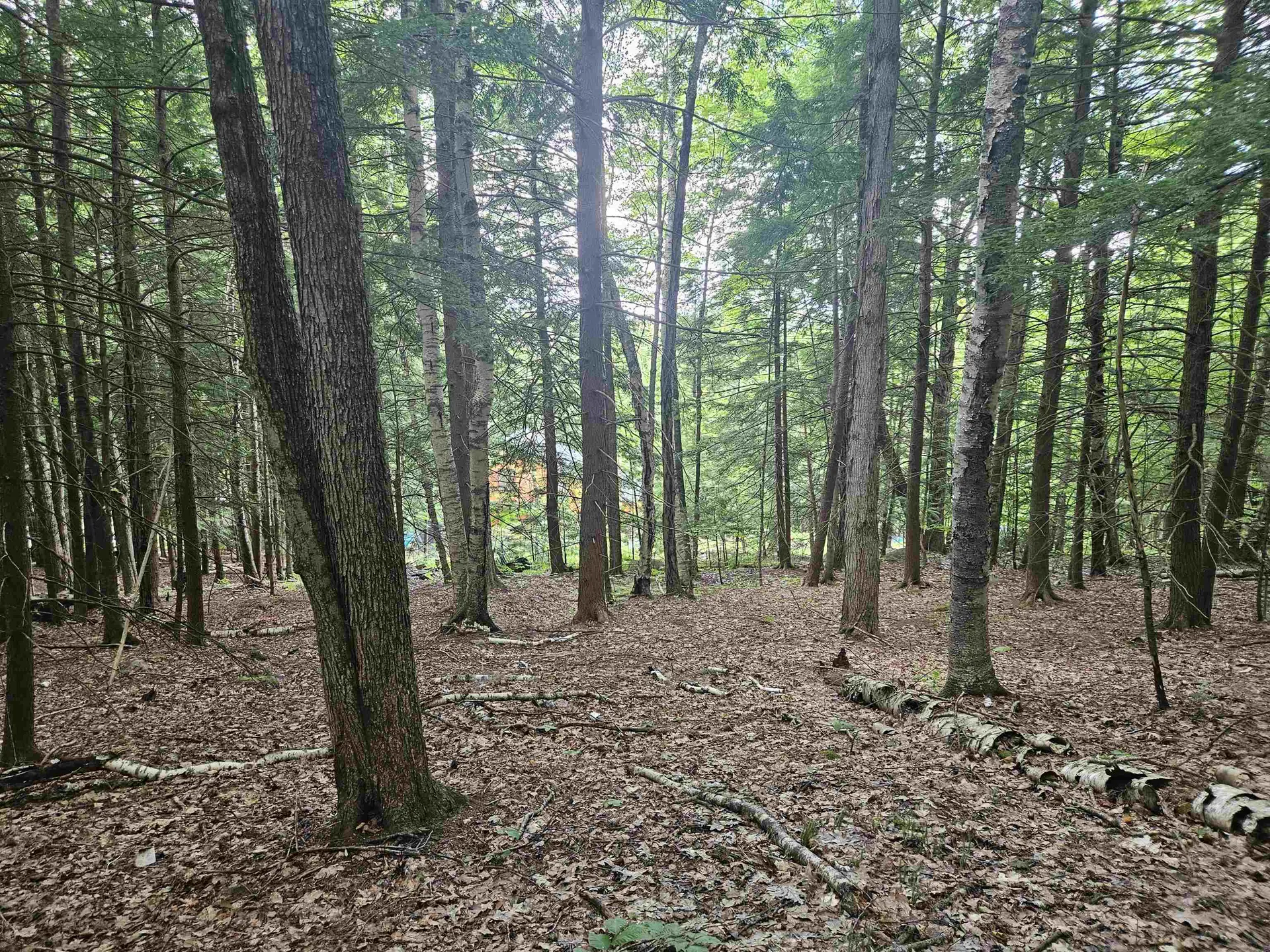 Map 132 Lot 115 Arrowhead Lane Gilmanton NH 03237