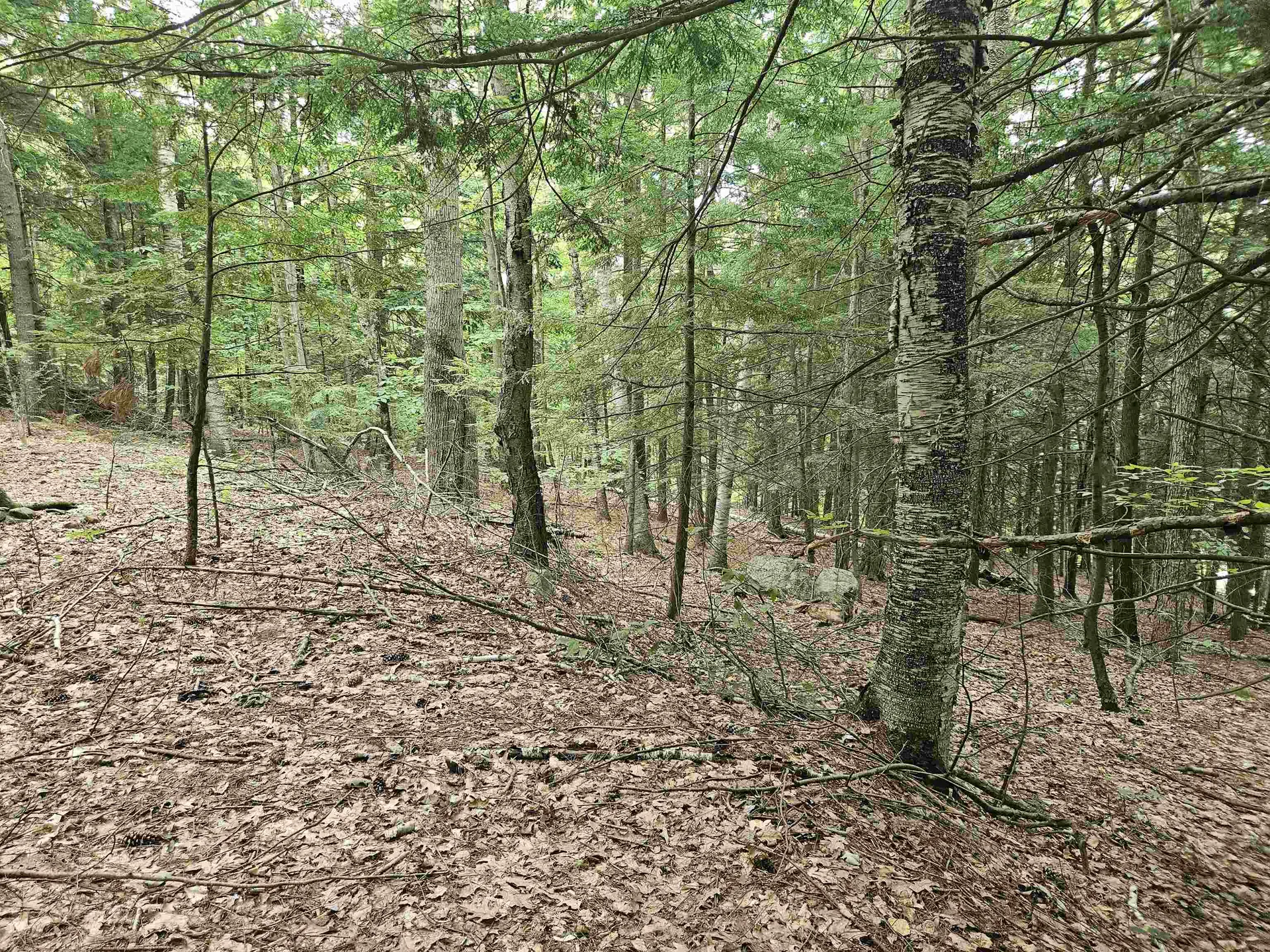 Map 132 Lot 115 Arrowhead Lane Gilmanton NH 03237