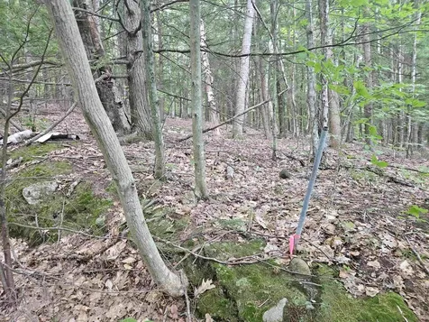 Map 132 Lot 115 Arrowhead Lane Gilmanton NH 03237
