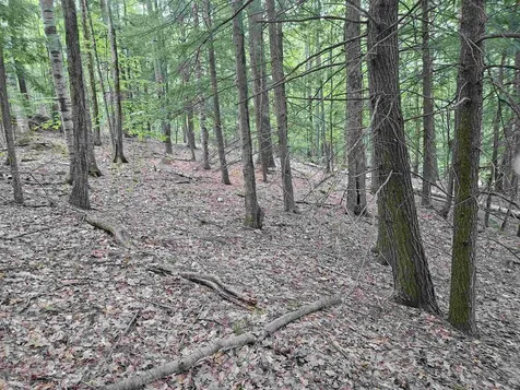 Map 132 Lot 115 Arrowhead Lane Gilmanton NH 03237