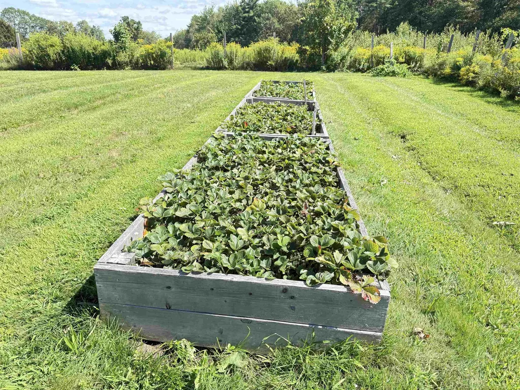 109 Old Center Road Deerfield NH 03037